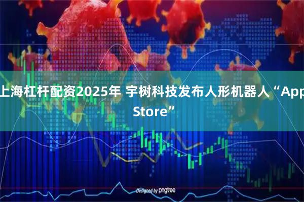 上海杠杆配资2025年 宇树科技发布人形机器人“App Store”