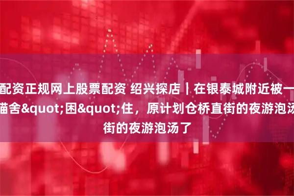 配资正规网上股票配资 绍兴探店｜在银泰城附近被一家猫舍"困"住，原计划仓桥直街的夜游泡汤了