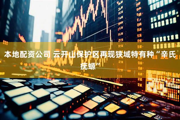 本地配资公司 云开山保护区再现狭域特有种“辛氏疣螈”
